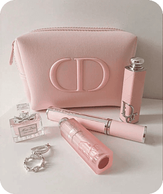 Dior Cosmetic Bag